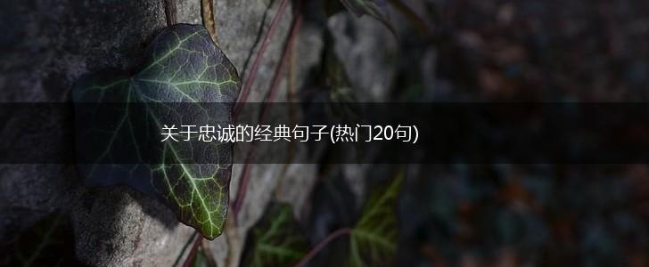 关于忠诚的经典句子(热门20句),第1张