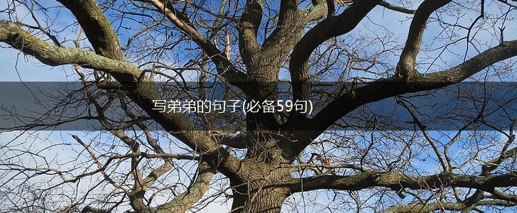 写弟弟的句子(必备59句),第1张