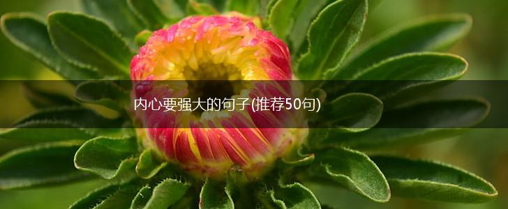 内心要强大的句子(推荐50句),第1张
