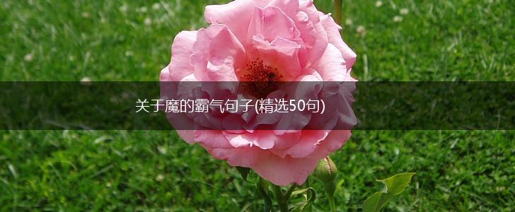 关于魔的霸气句子(精选50句),第1张