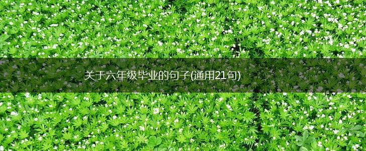 关于六年级毕业的句子(通用21句),第1张