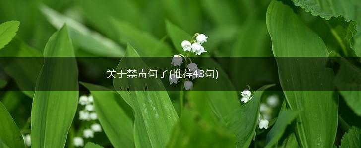 关于禁毒句子(推荐43句),第1张
