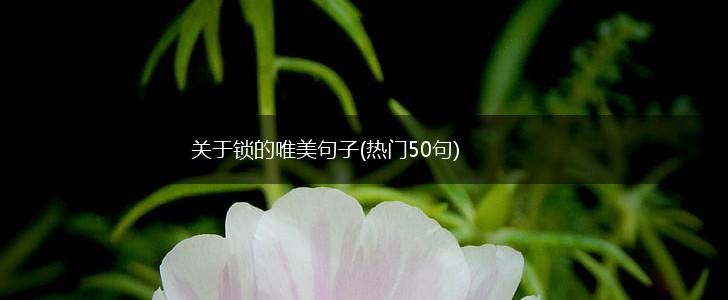 关于锁的唯美句子(热门50句),第1张