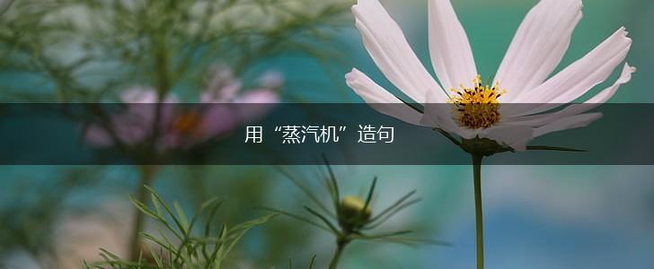 用“蒸汽机”造句,第1张