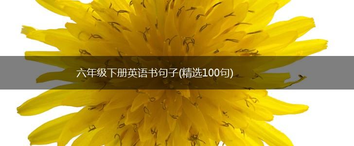六年级下册英语书句子(精选100句),第1张