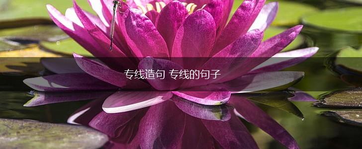 专线造句 专线的句子,第1张