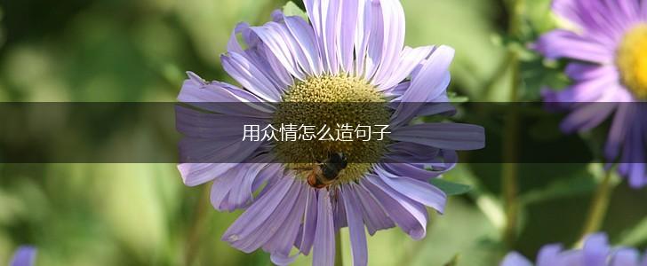 用众情怎么造句子,第1张