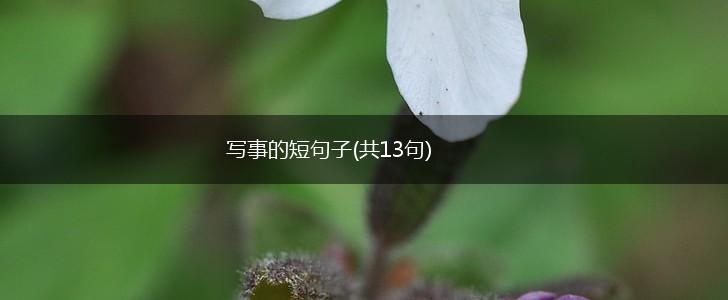 写事的短句子(共13句),第1张