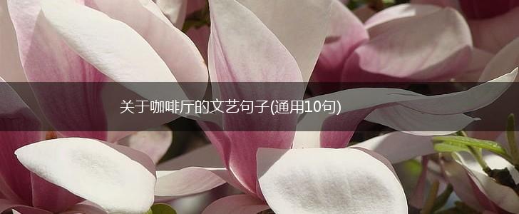关于咖啡厅的文艺句子(通用10句),第1张
