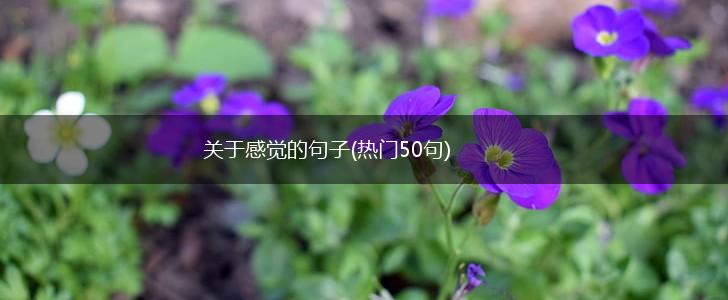 关于感觉的句子(热门50句),第1张