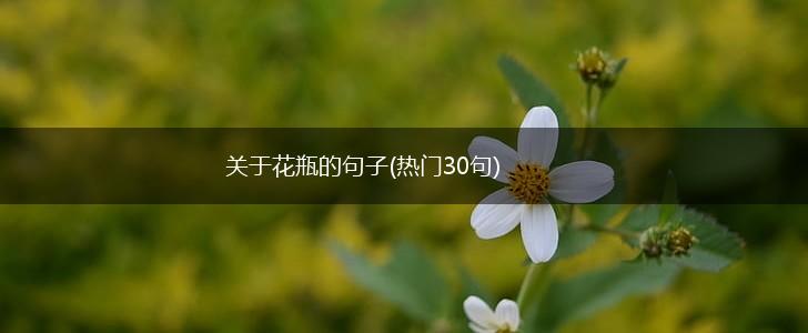 关于花瓶的句子(热门30句),第1张