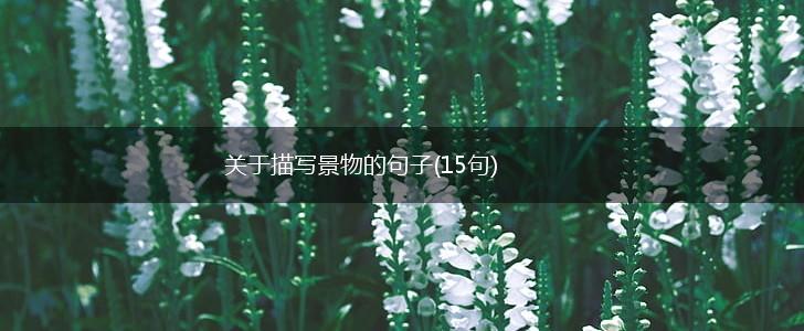 关于描写景物的句子(15句),第1张
