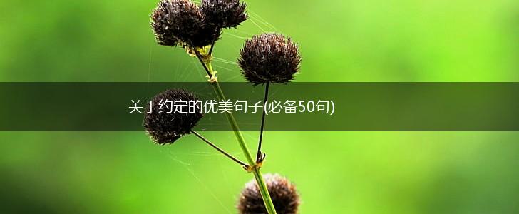关于约定的优美句子(必备50句),第1张