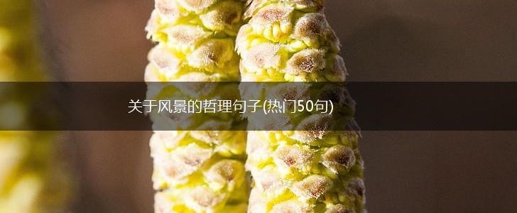 关于风景的哲理句子(热门50句),第1张