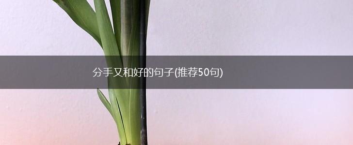 分手又和好的句子(推荐50句),第1张