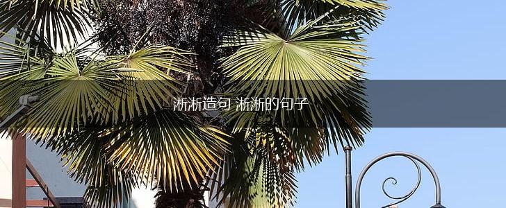 淅淅造句 淅淅的句子,第1张