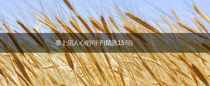 事上见人心的句子(精选15句),第1张