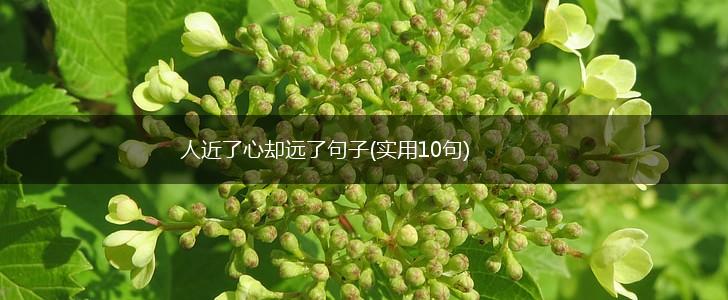 人近了心却远了句子(实用10句),第1张