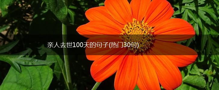 亲人去世100天的句子(热门30句),第1张