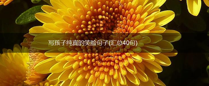 写孩子纯真的笑脸句子(汇总40句),第1张