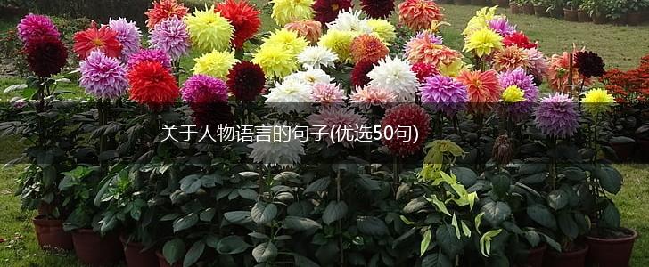 关于人物语言的句子(优选50句),第1张