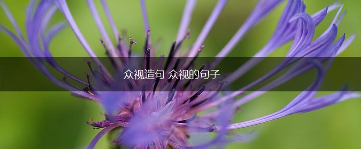 众视造句 众视的句子,第1张