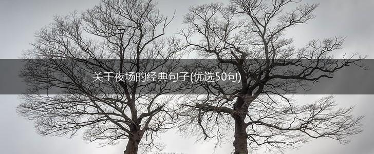 关于夜场的经典句子(优选50句),第1张
