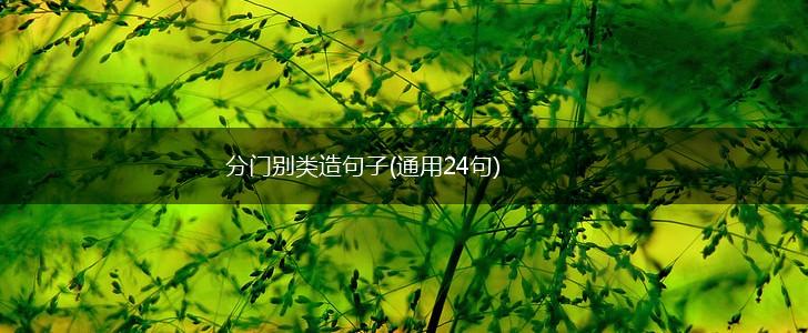 分门别类造句子(通用24句),第1张