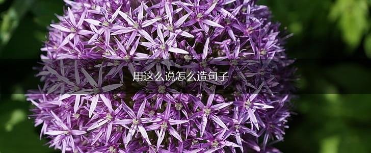 用这么说怎么造句子,第1张