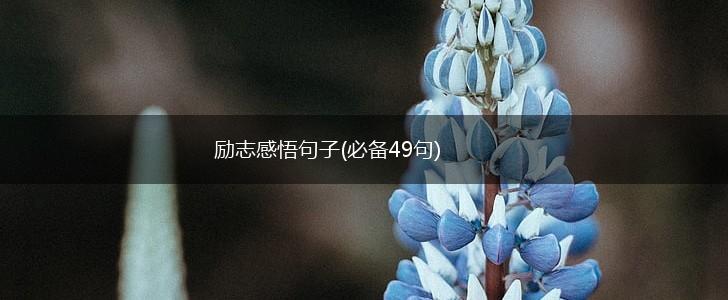 励志感悟句子(必备49句),第1张