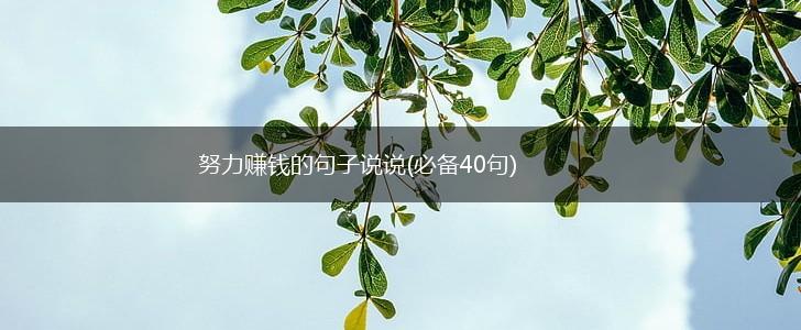 努力赚钱的句子说说(必备40句),第1张