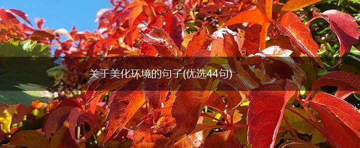 关于美化环境的句子(优选44句),第1张