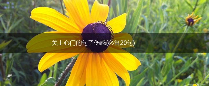 关上心门的句子伤感(必备20句),第1张