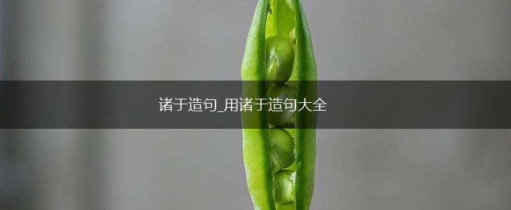 诸于造句_用诸于造句大全,第1张