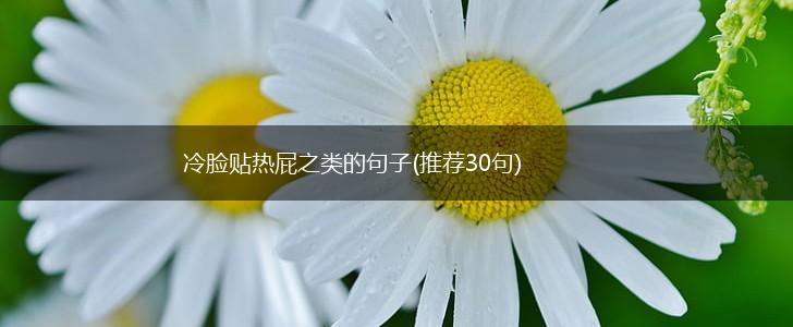 冷脸贴热屁之类的句子(推荐30句),第1张