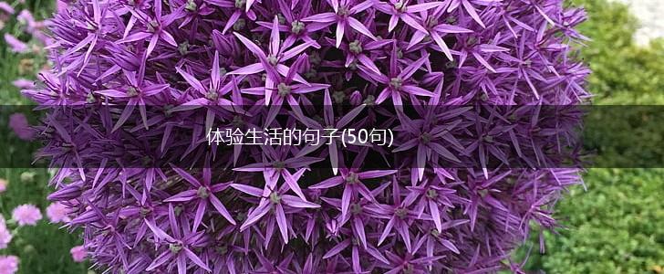 体验生活的句子(50句),第1张