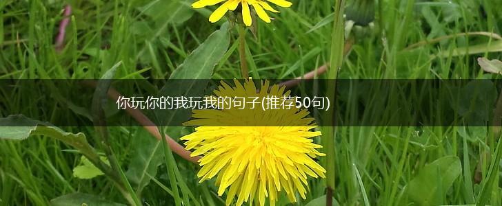 你玩你的我玩我的句子(推荐50句),第1张