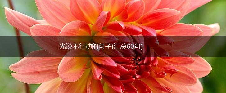 光说不行动的句子(汇总60句),第1张
