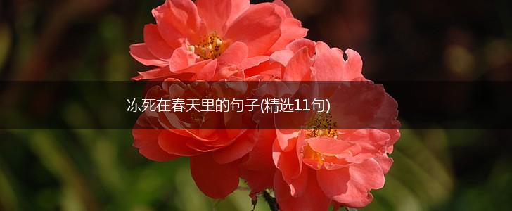 冻死在春天里的句子(精选11句),第1张