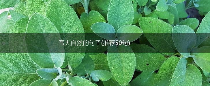 写大自然的句子(推荐50句),第1张