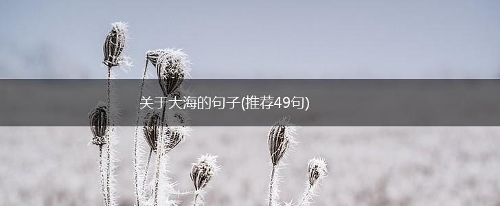 关于大海的句子(推荐49句),第1张