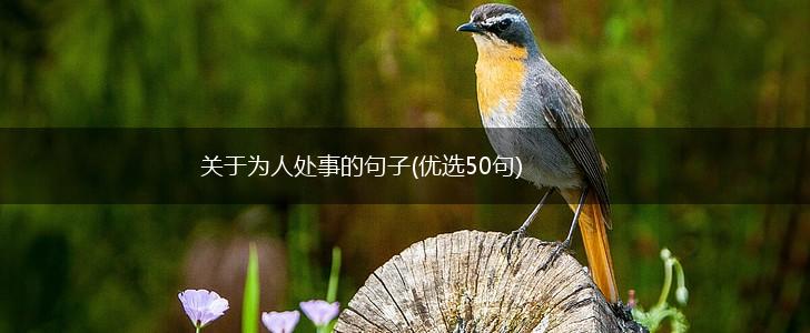 关于为人处事的句子(优选50句),第1张
