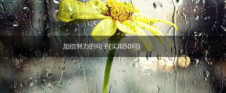 加倍努力的句子(实用50句),第1张