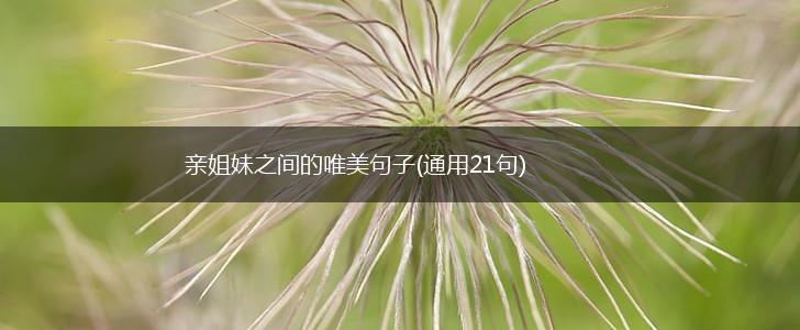 亲姐妹之间的唯美句子(通用21句),第1张