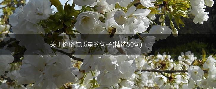 关于价格与质量的句子(精选50句),第1张
