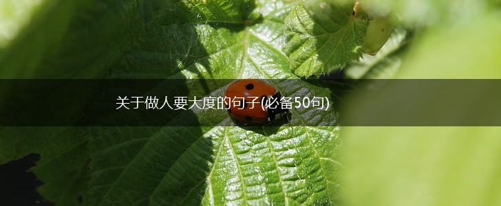 关于做人要大度的句子(必备50句),第1张