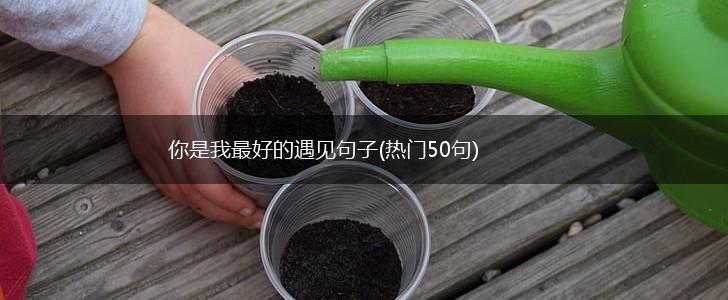 你是我最好的遇见句子(热门50句),第1张