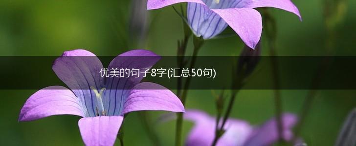 优美的句子8字(汇总50句),第1张