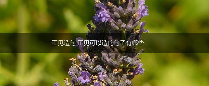 正见造句 正见可以造的句子有哪些,第1张