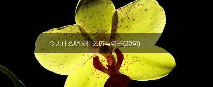今天什么明天什么仿写句子(20句),第1张